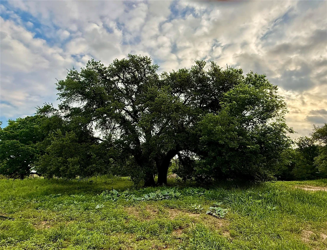 Photo of 417 CR 415