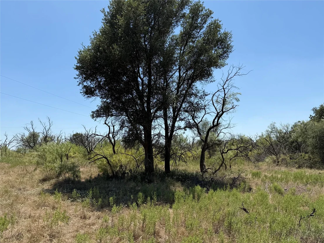 Photo of 501 County Road 376
