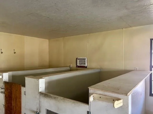 Photo of 385 County Road 161