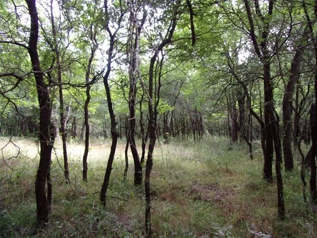 Photo of 4188 Willow Oak Bend