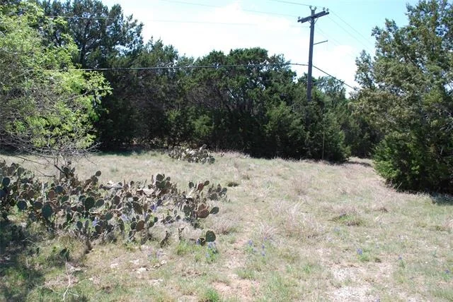 Photo of 19016 Bluebonnet Drive