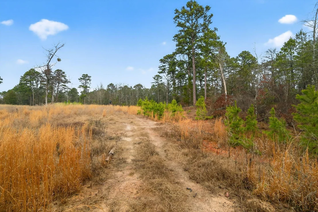 Photo of 868 County Road 2920