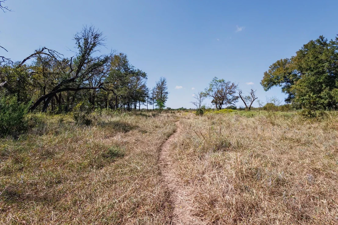 Photo of 342 Tatanka Trail