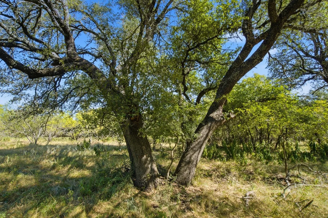 Photo of 3100 County Road 153