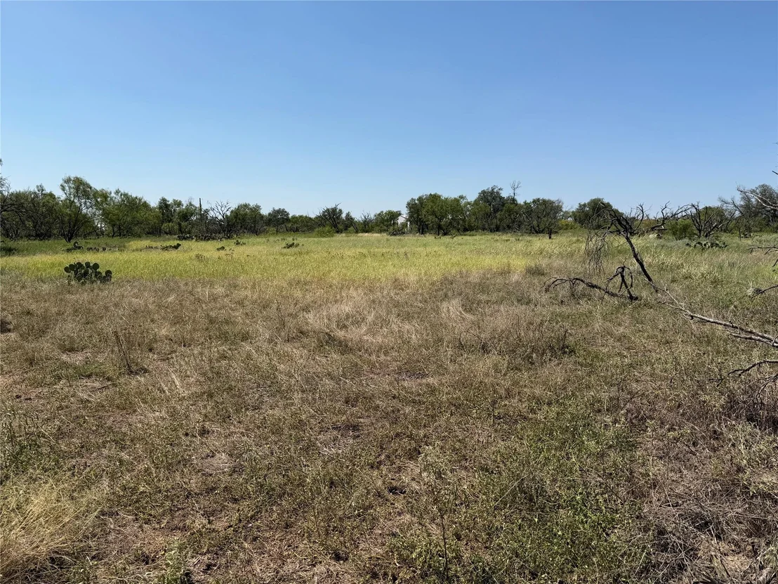 Photo of 501 County Road 376