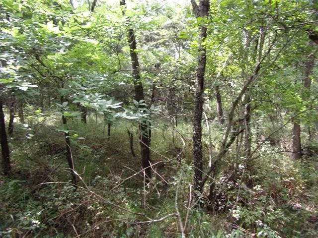 Photo of 4188 Willow Oak Bend