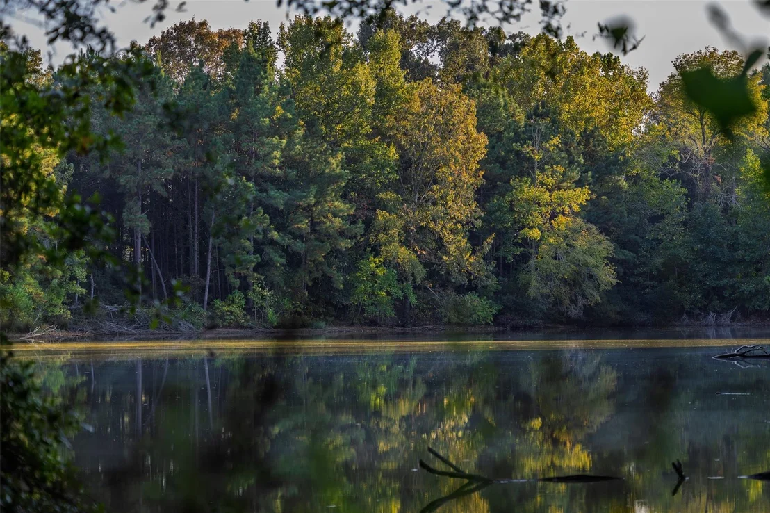 Photo of 973 County Road 2572