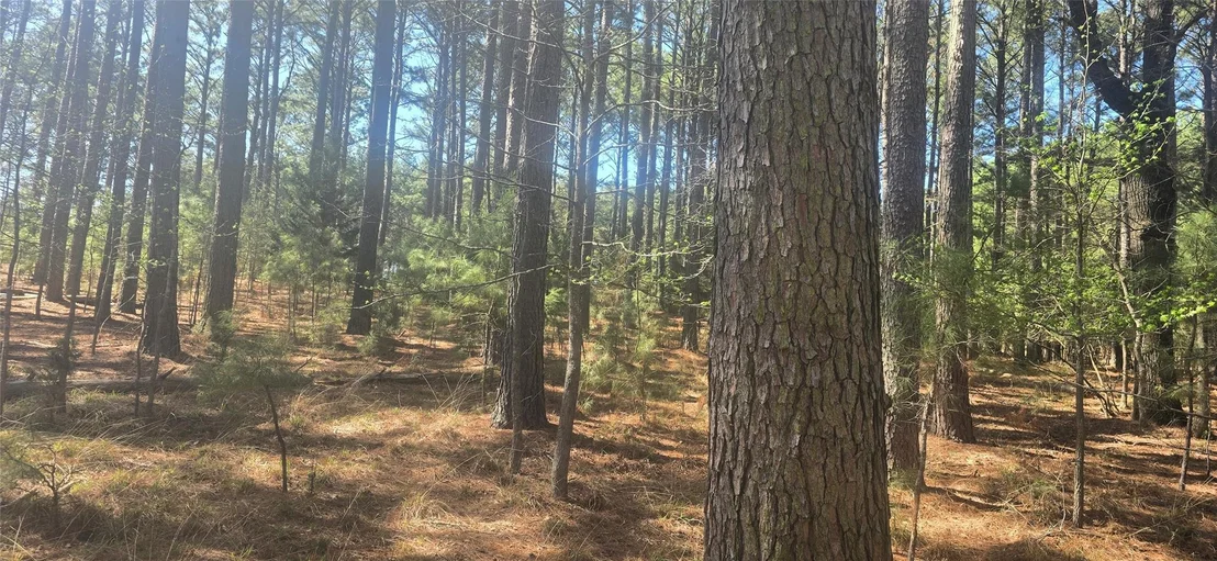 Photo of 8300 Trophy Point