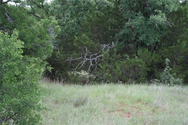 Photo of 2701 Live Oak Road