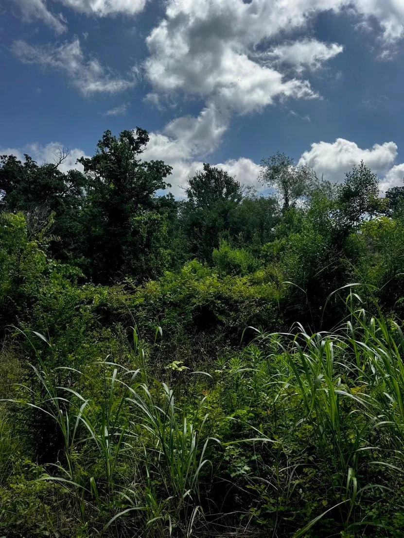 Photo of 5200 County Road 45080