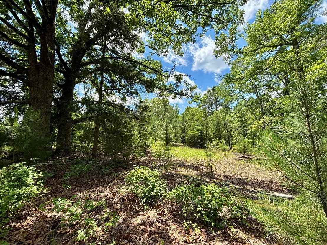 Photo of 5982 Doe Trail