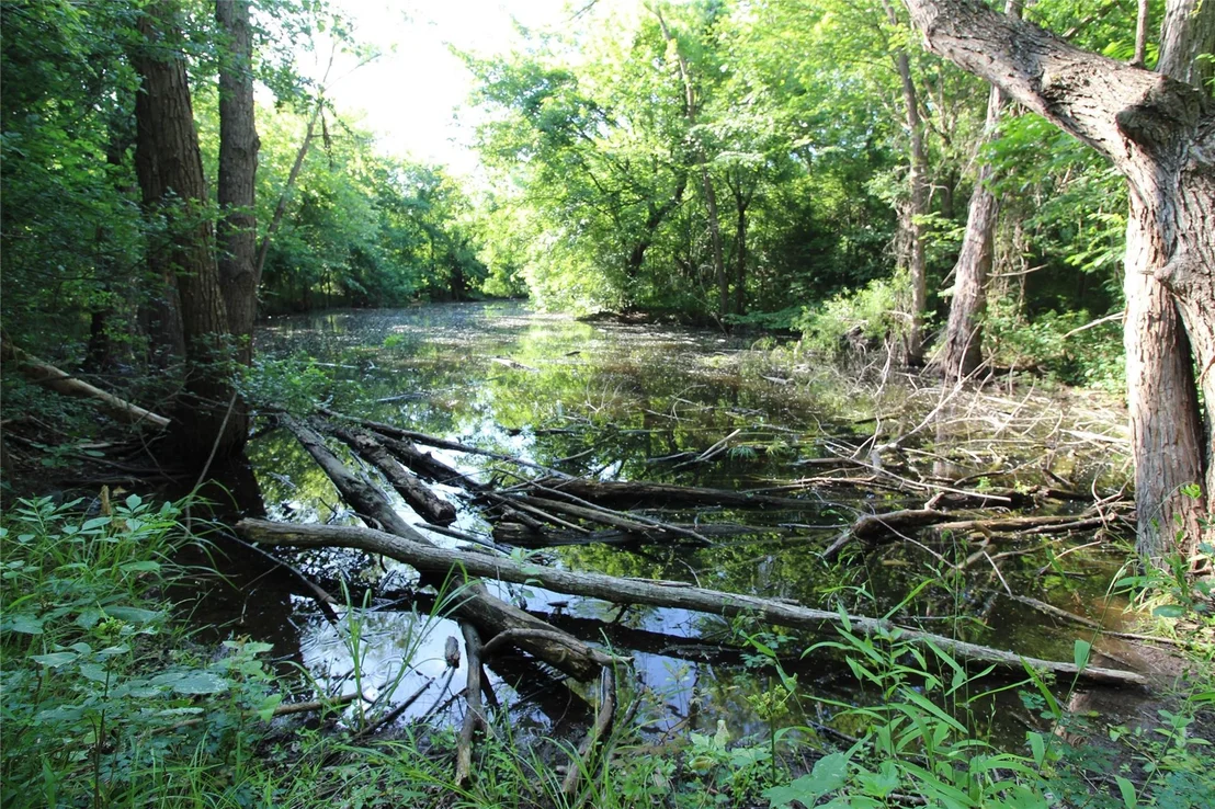 Photo of 19470 County Road 4072