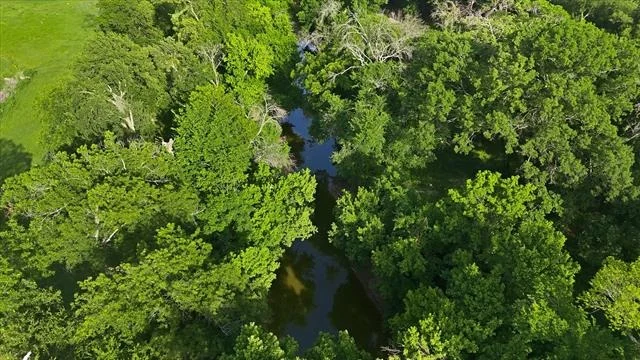 Photo of 596 County Road 4668