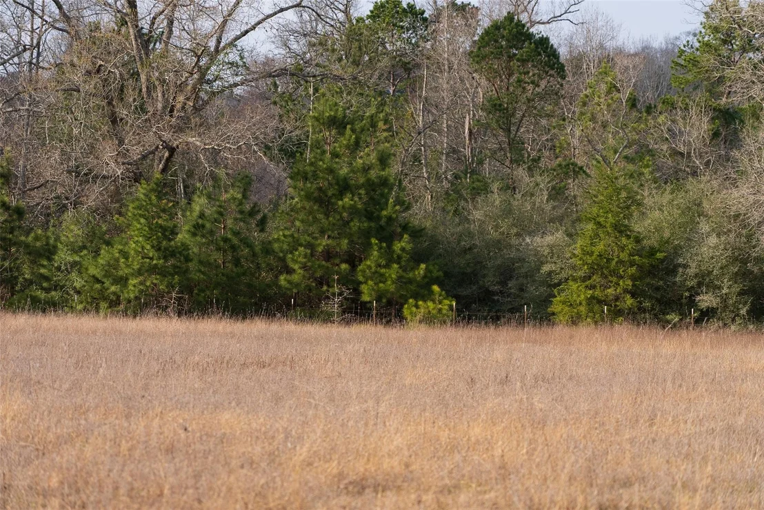 Photo of 9190 County Road 2136 N