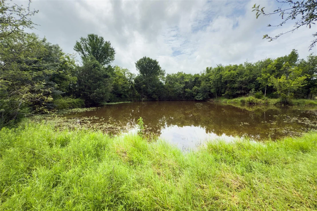 Photo of Lot 9 County Road 173