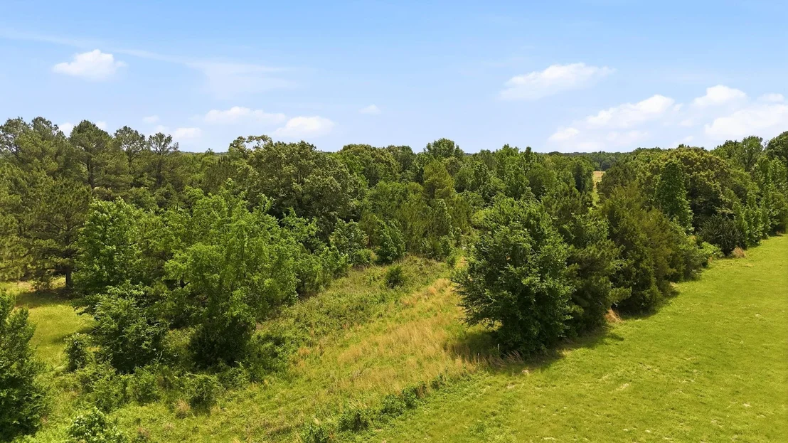 Photo of 368 County Road 4960