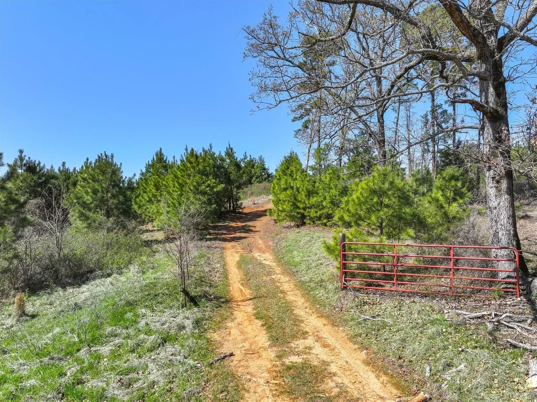 Photo of 421 CR 3875