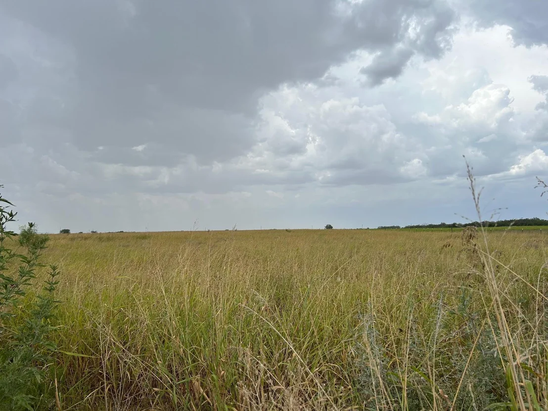 Photo of 5805 County Road 223