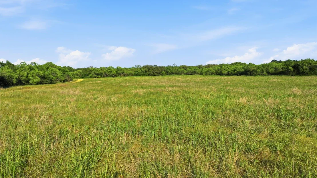Photo of 1343 County Road 188