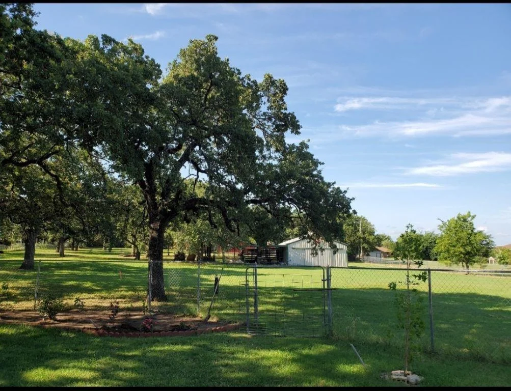 Photo of 2524 Mockingbird Road