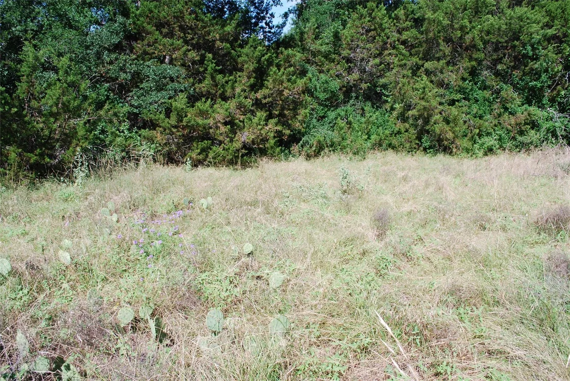 Photo of 1306 Overlook Drive