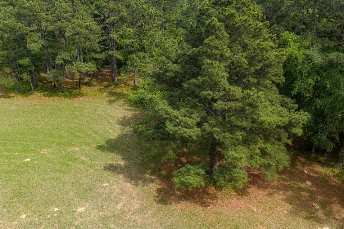Photo of 2029 W State Highway 294