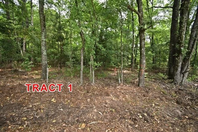 Photo of Tract 1 County Road 3117