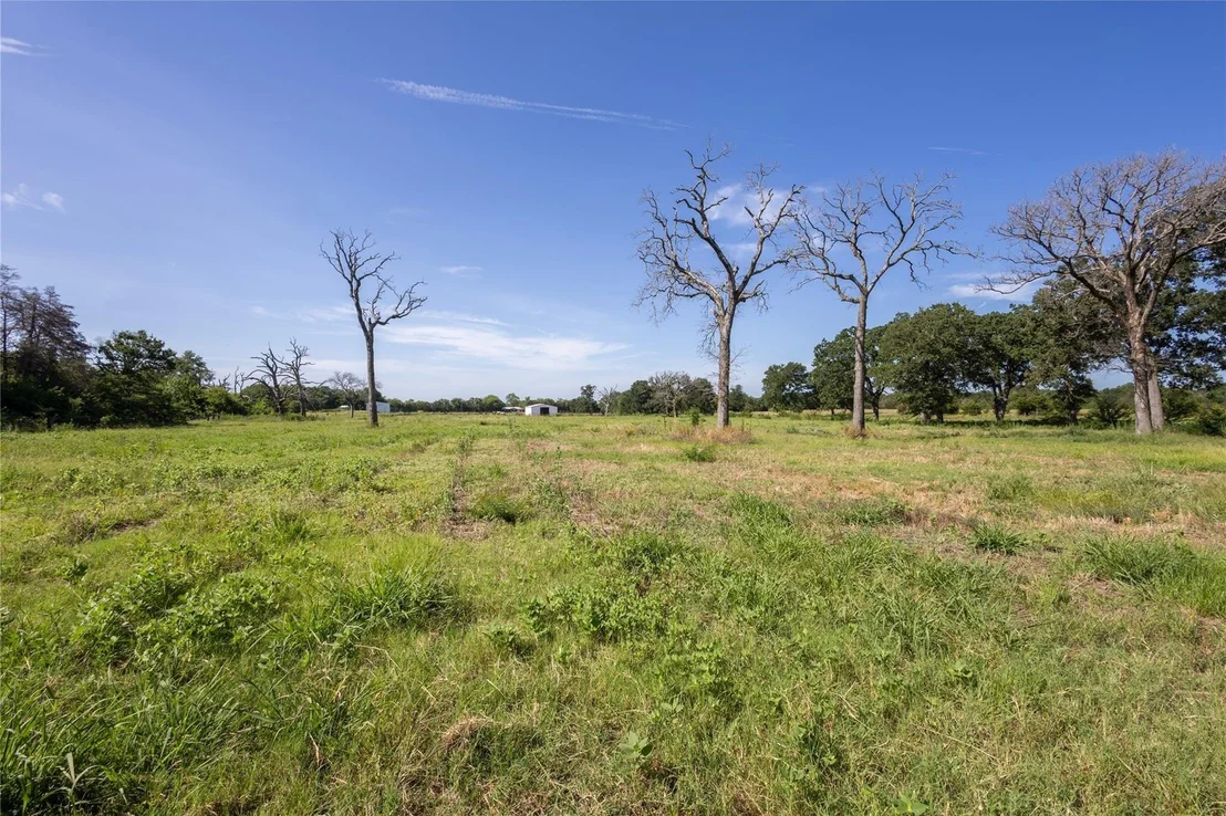 Photo of 278 County Road 2241