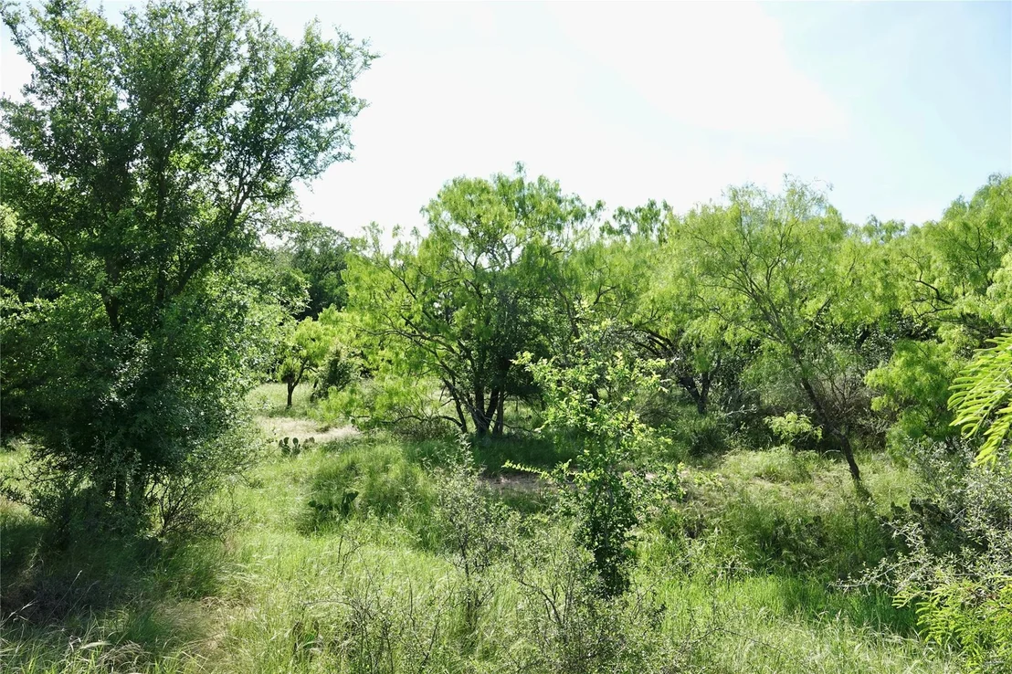 Photo of 981 W Hwy 84