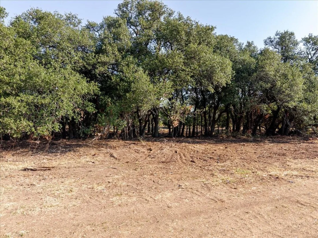 Photo of 2768 Live Oak Road