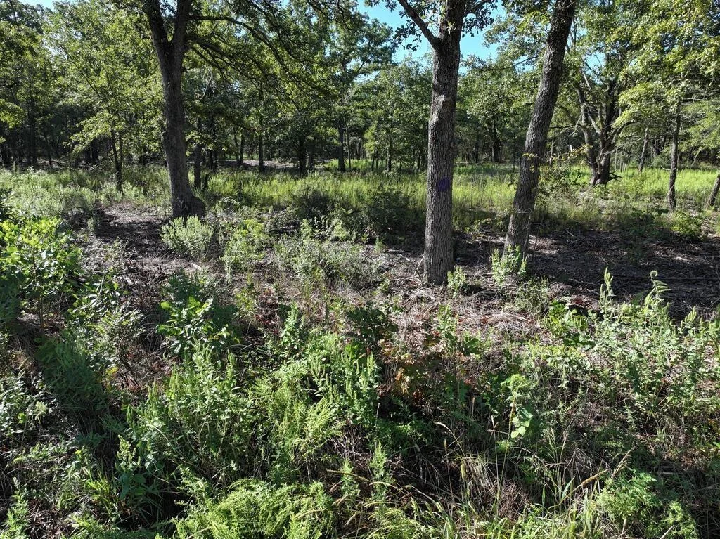 Photo of 8602 CR 2448