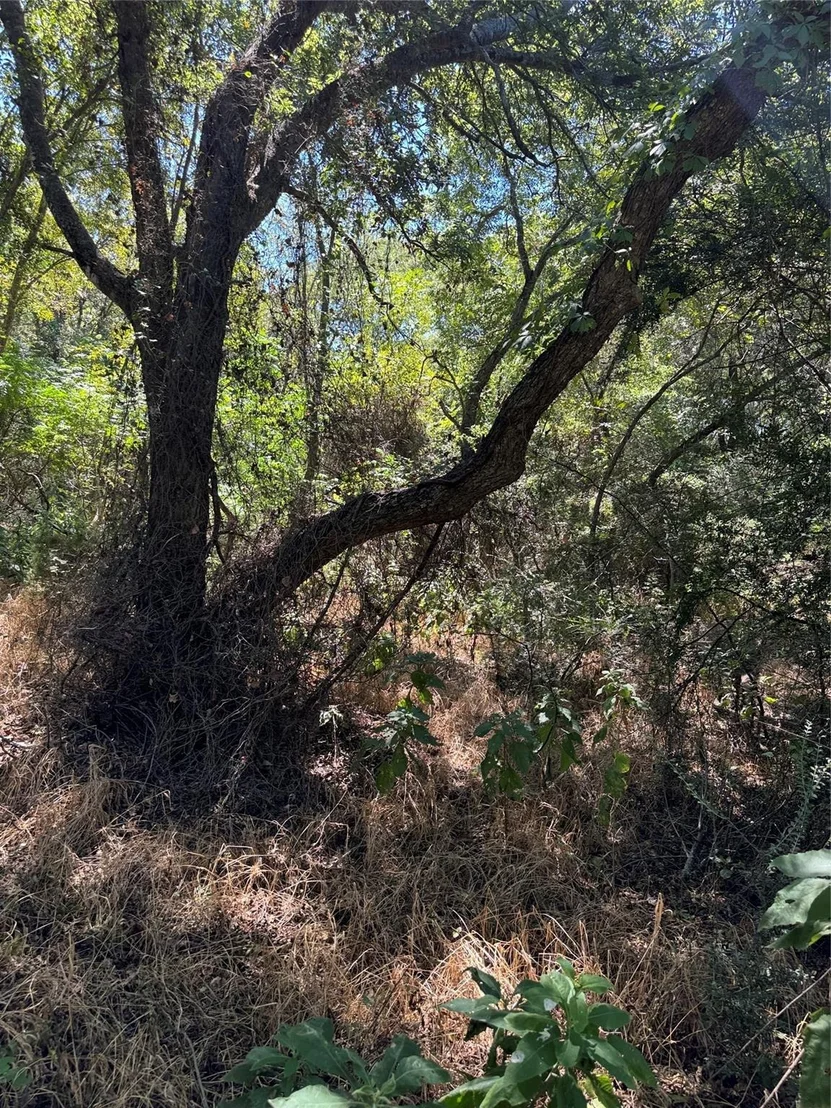 Photo of 15037 Golf Drive
