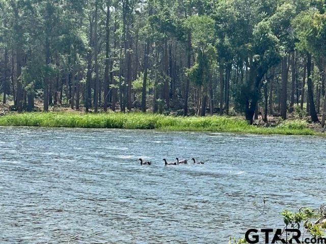 Photo of Lot 111 Oak River