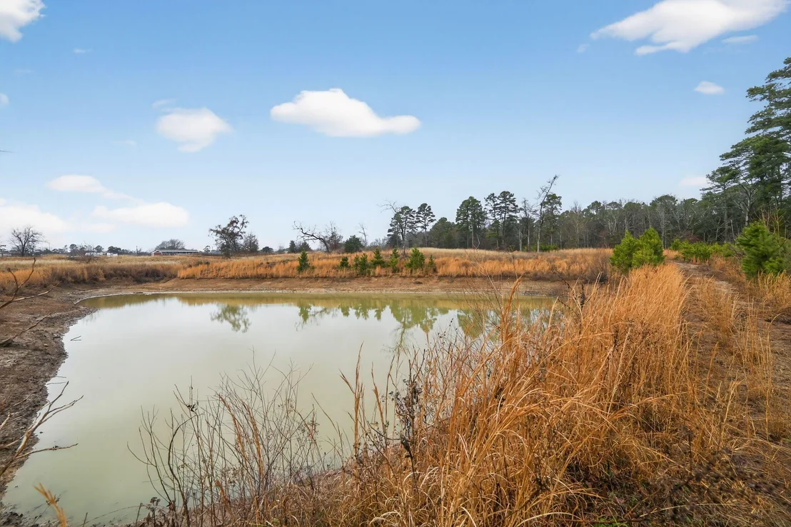 Photo of 868 County Road 2920