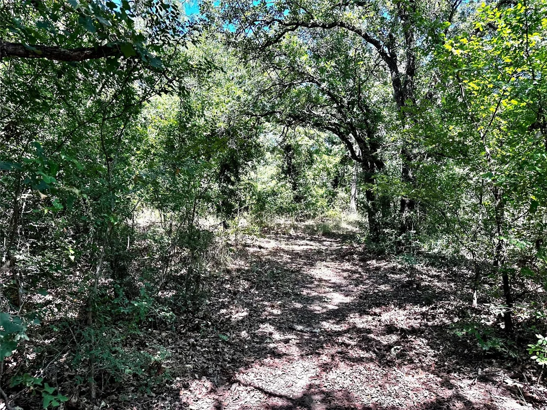 Photo of 25300 State Highway 279