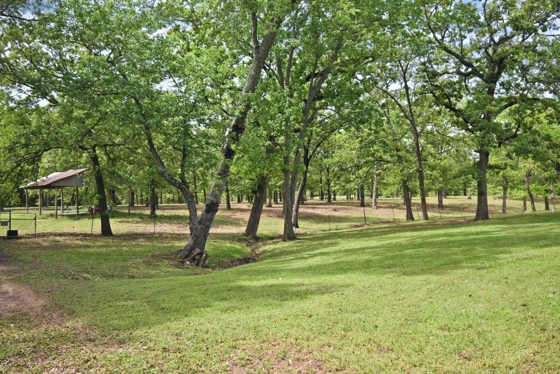 Photo of 599 County Road 1260