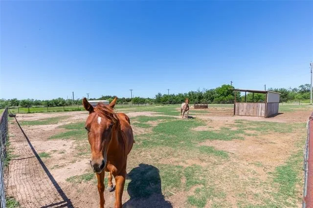 Photo of 427 Meadow Lane