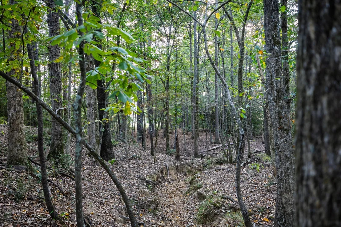 Photo of 973 County Road 2572