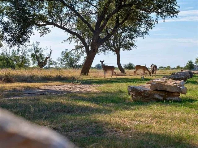 Photo of Lot 3 Cliffs Drive