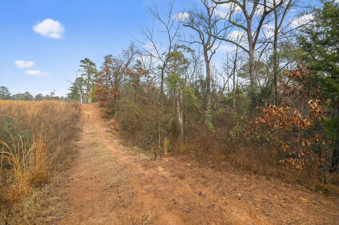 Photo of 868 County Road 2920