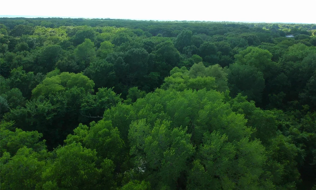 Photo of 19470 County Road 4072