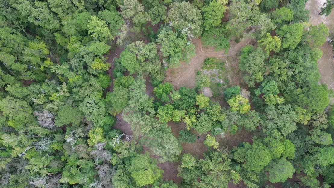 Photo of 1688 County Road 1597