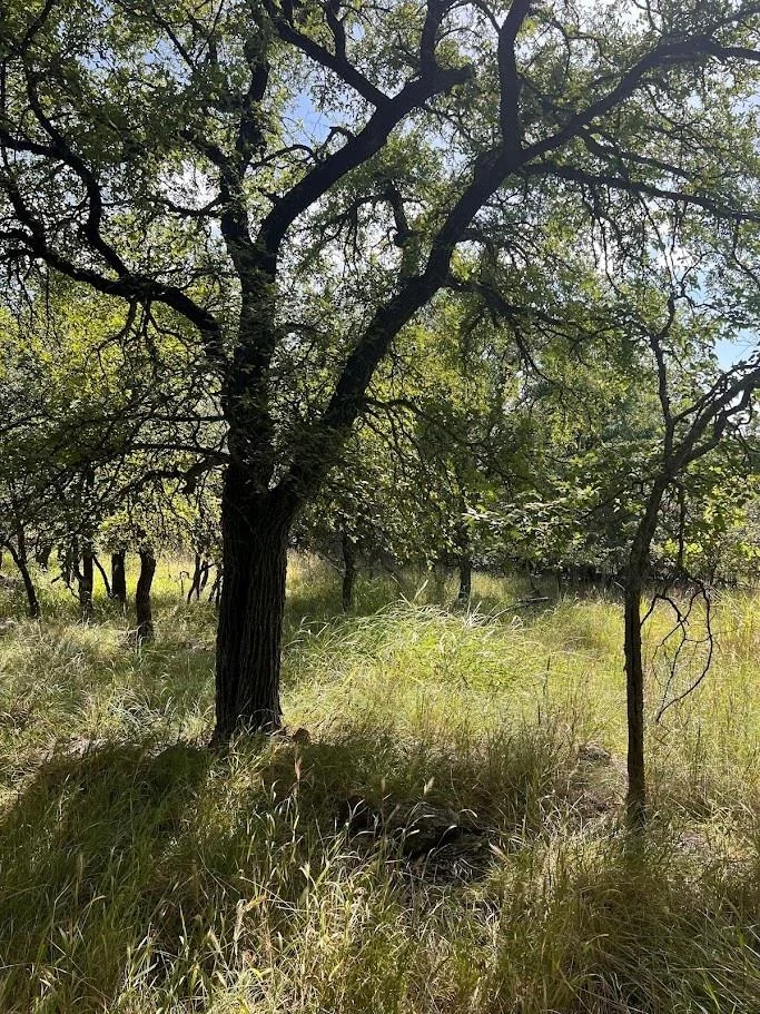 Photo of 927 Cutter Circle