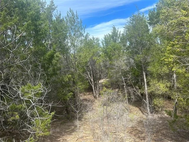 Photo of 1241 Balcones Lane