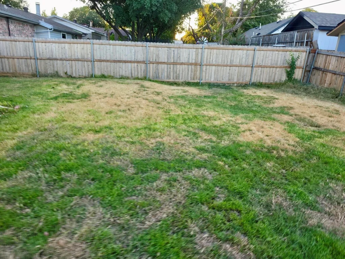 Photo of 915 Lemontree Drive