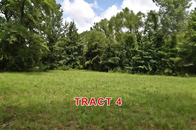 Photo of Tract 4 County Road 3117