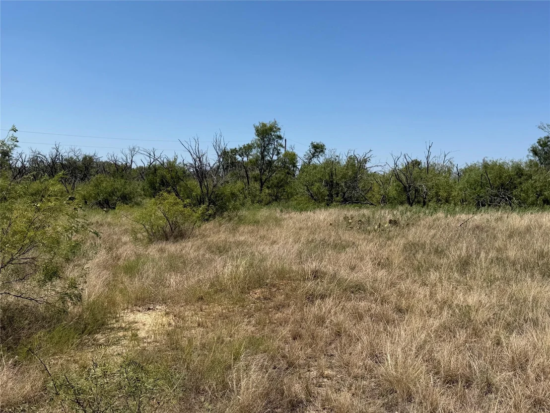 Photo of 501 County Road 376