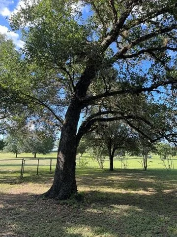 Photo of 6303 Greenvine Road