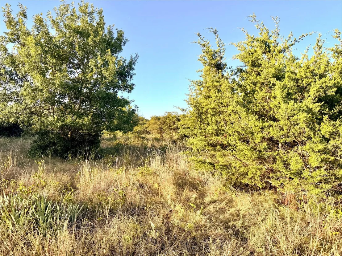 Photo of 37 Pr 224