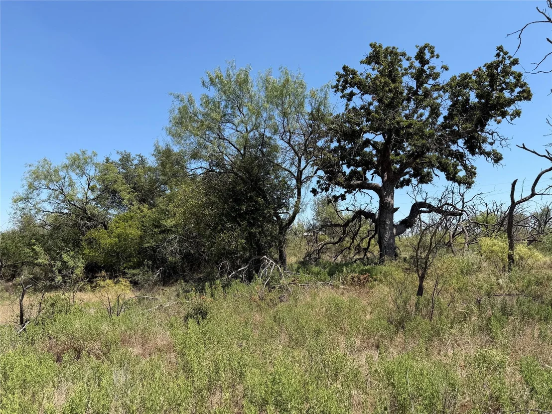 Photo of 501 County Road 376